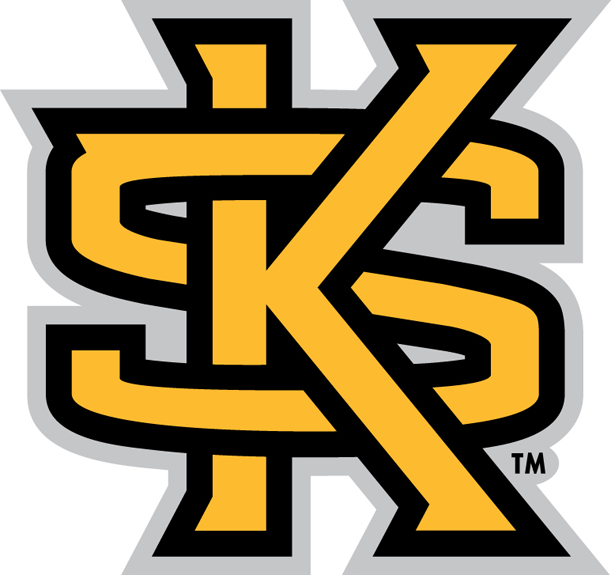 Kennesaw State Owls 2012-Pres Secondary Logo iron on transfers for fabric
